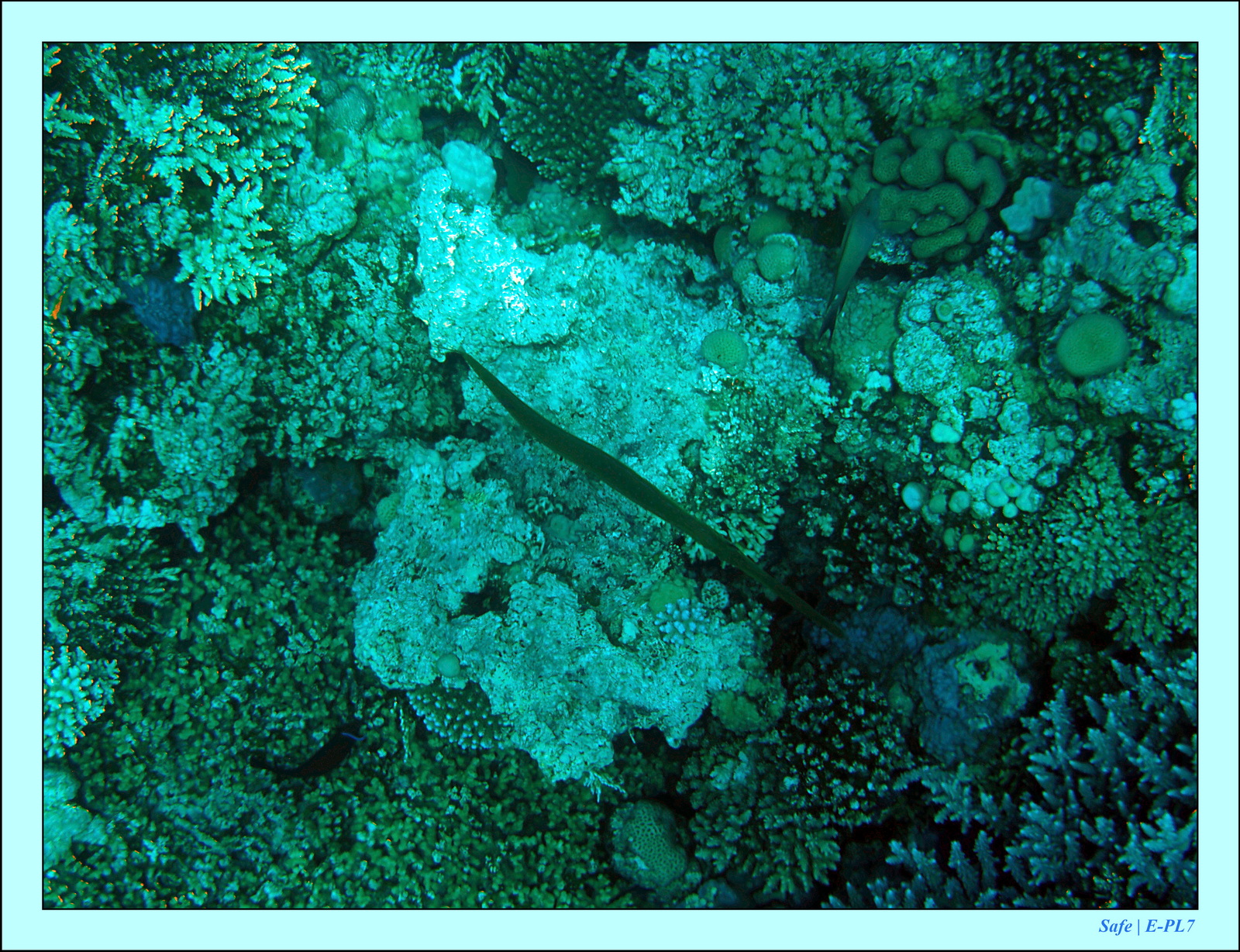 Hurghada - Aout 2021 - 041